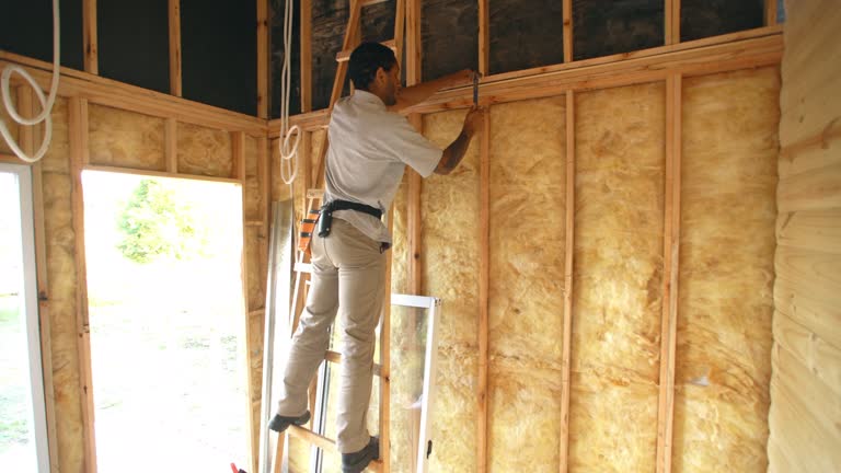 Best Soundproof Insulation  in Dowagiac, MI